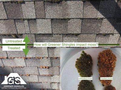 imgi_28_Moss-Growth1
